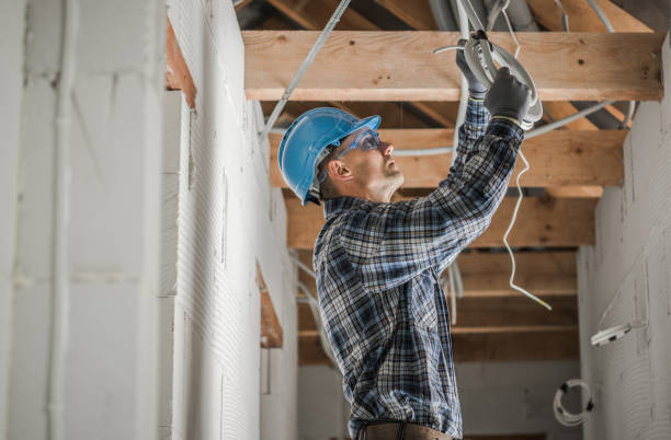 Best Electric Panel Repair  in Fort Madison, IA